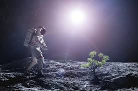 Le piante crescono nel suolo lunare. Ma sono stressate - Focus.it